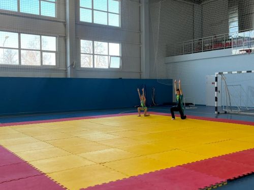 Сегодня в Агрызе проходит Межрегиональное Первенство по аэробике и акробатике