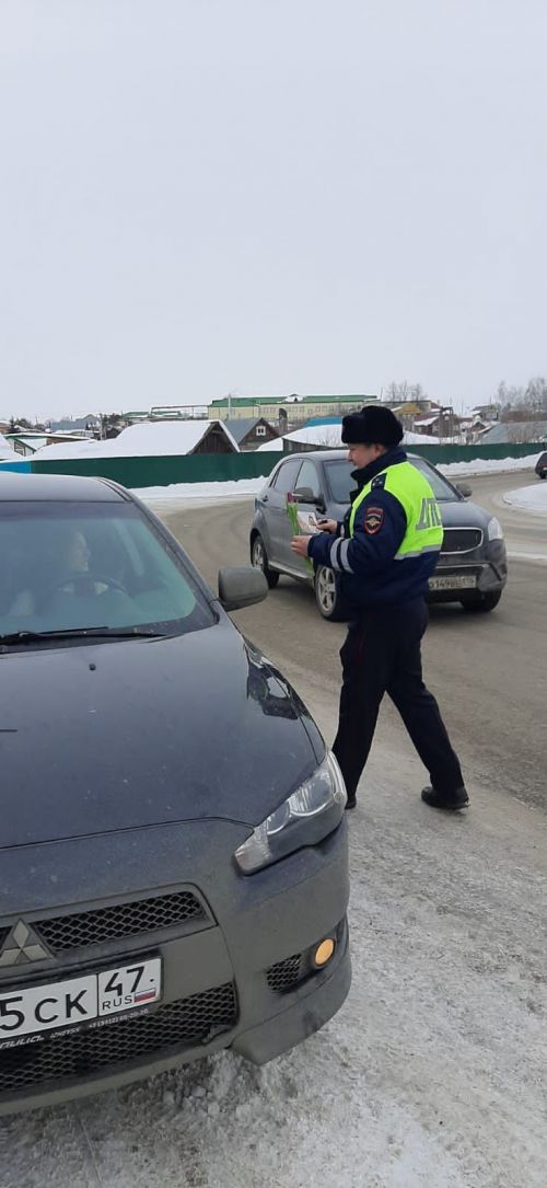 В Агрызе сотрудники ГИБДД подарили цветы женщинам за рулем