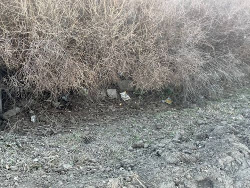Ленар Нургаянов провел еще одно пешее совещание по Агрызу (ФОТОРЕПОРТАЖ)