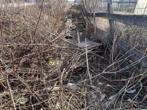 Ленар Нургаянов провел пешее совещание по нижней части Агрыза (ФОТОРЕПОРТАЖ)