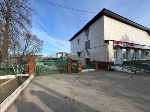 Ленар Нургаянов провел пешее совещание по нижней части Агрыза (ФОТОРЕПОРТАЖ)