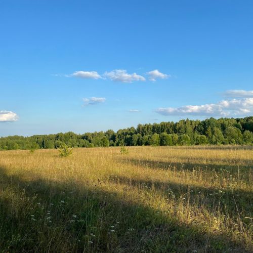 МЧС РТ напомнил, что из-за высокой пожароопасности продлен противопожарный режим