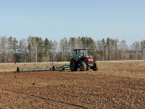 В хозяйствах района продолжается посевная