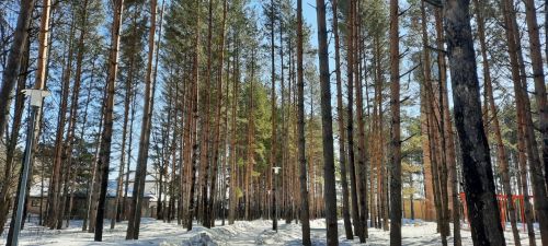 С 1 апреля в Агрызском районе началось спецпатрулирование