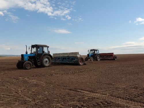 В агрофирме «Тугызбуй» начали сев ячменя