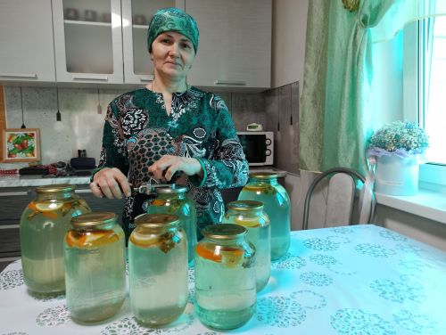 Как сохранить березовый сок до лета