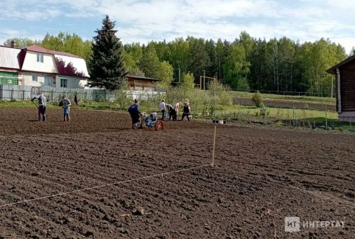 Бакчада май коңгызы личинкаларыннан ничек котылырга?