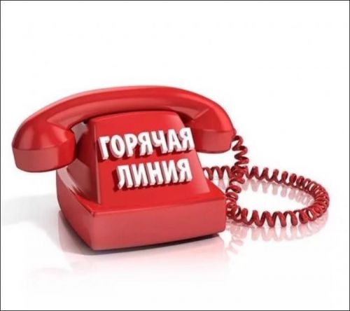 В Татарстане работает «горячая линия» по туристическим услугам и инфекционным угрозам за рубежем