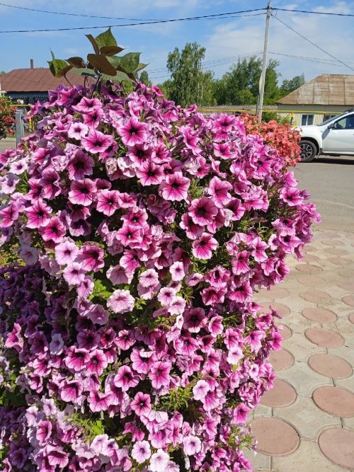 Следующая неделя в Агрызе начнется с +22
