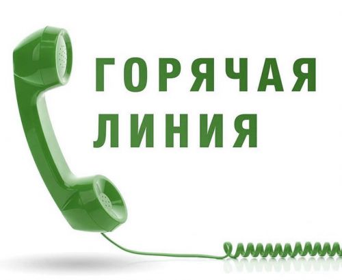 В Татарстане организована «горячая линия» по вопросам обращения с ТКО
