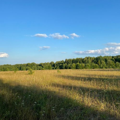 В Агрызском районе ограничили пребывание граждан в лесах и въезд в них на транспорте
