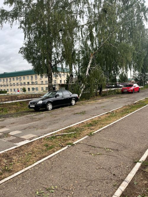 В Агрызе от последствий урагана расчистили основные дороги