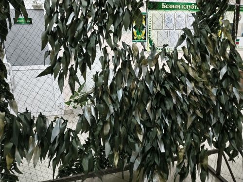 В Ямурзинском сельском клубе прошел мастер-класс по изготовлению маскировочных сетей