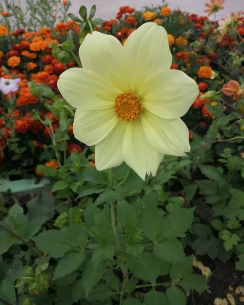 Прогноз погоды в Агрызе на четверг