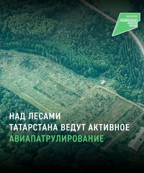 С начала пожароопасного сезона в лесах Татарстана проведено 30 авиапатрулирований
