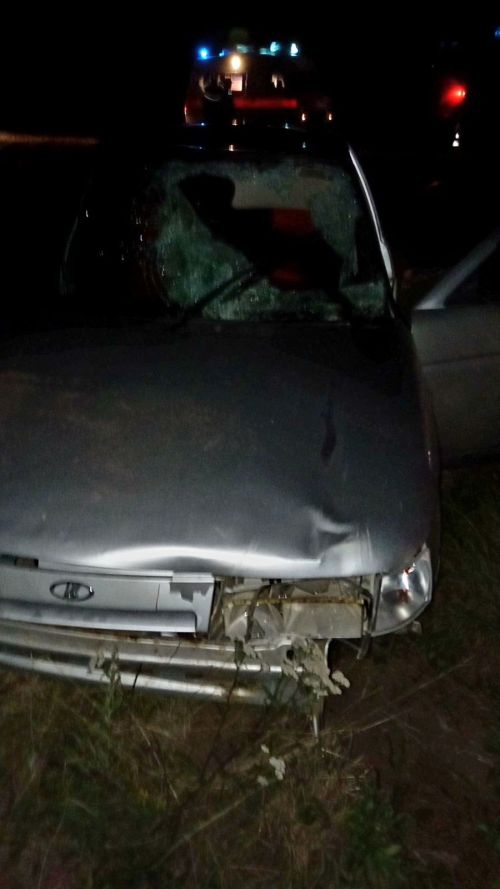 В результате смертельной аварии недалеко от Агрыза погиб человек