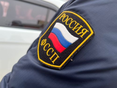 У жительницы Агрызского района арестовали дом из-за долгов