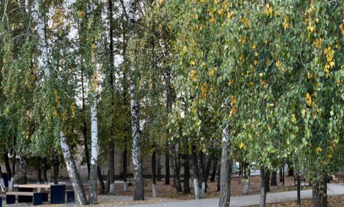 Прогноз погоды на 23 сентября
