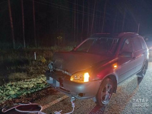 «Лада Калина» автомобиле аюны бәрдергән