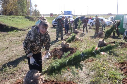 В Агрызе появится шесть новых аллей