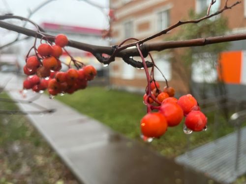 Прогноз погоды на 7 сентября
