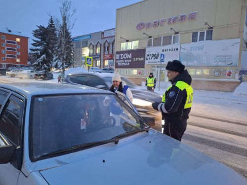 В Агрызе прошла акция «Пристегни самое дорогое!»