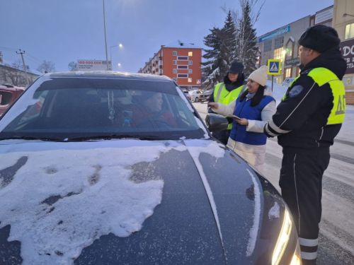 В Агрызе прошла акция «Пристегни самое дорогое!»