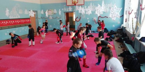 В Агрызе прошел обучающий семинар по Абсолютно реальному бою