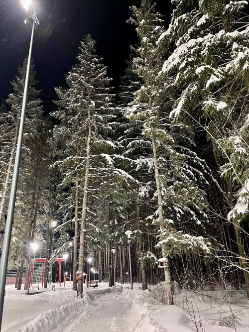 Прогноз погоды на вторник в Агрызе
