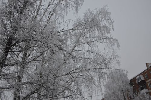 Прогноз погоды на 14 февраля