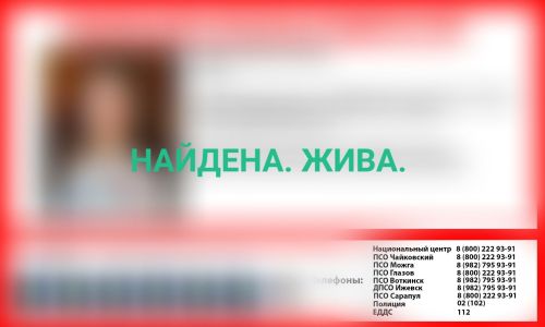 Девочка, пропавшая в Малой Пурге, найдена живой
