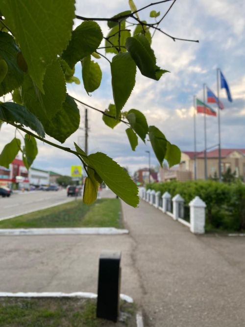 Завтра в Агрызе ожидается до +11 тепла