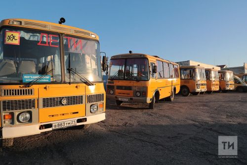 В Агрызе пройдет профилактический рейд ГИБДД