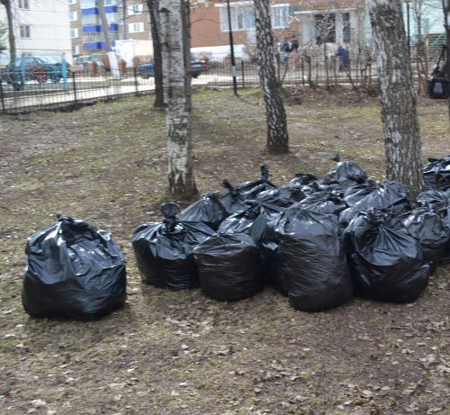 Что делать с мусором после субботников?