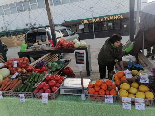 К акции «Тотальный диктант» присоединились 400 агрызцев