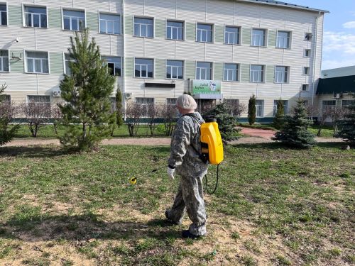 В Агрызе приступили к обработке парков и скверов от клещей