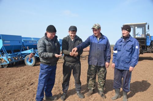 В Агрызском районе «Навруз» первым приступил к севу