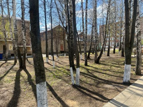 Когда начнется сезон активности клещей в этом году