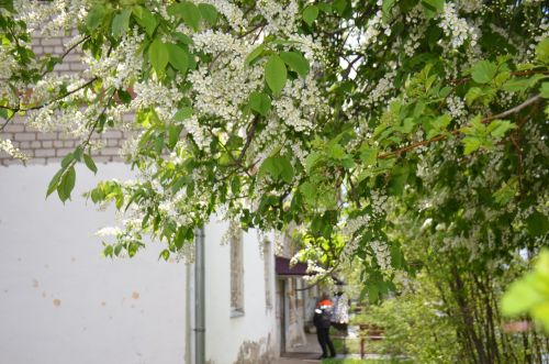 Прогноз погоды на среду в Агрызе