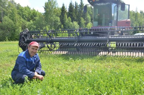 Районда терлек азыгы хәзерләү бара