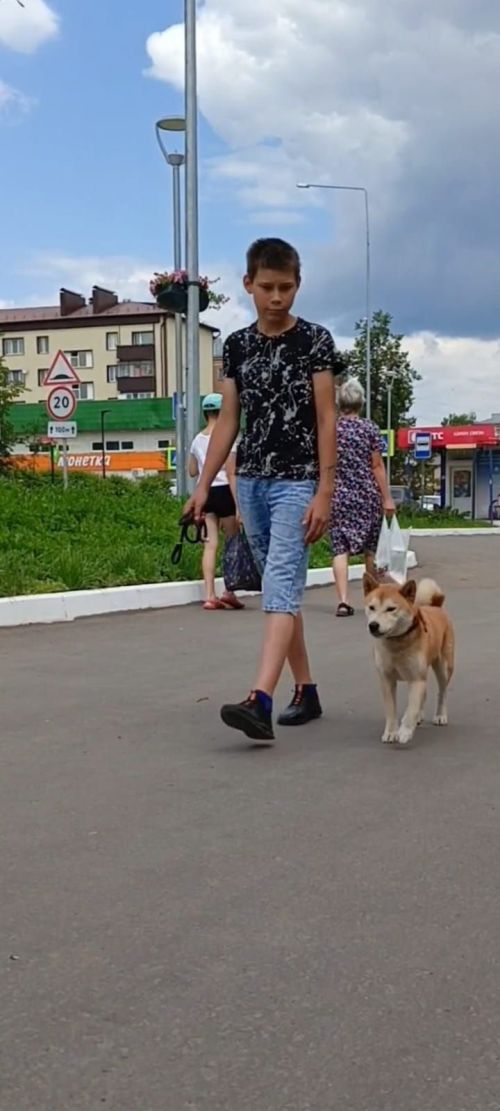 В Агрызе разыскивается мальчик 2011 года рождения (ФОТО)