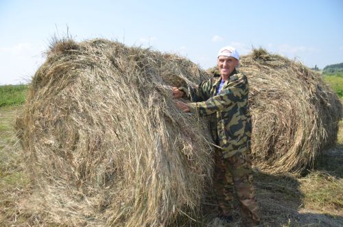 Табарлинцы Валеевы в этом году заготовили 60 рулонов сена