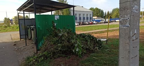 Не относятся к ТКО: Что делать с растительным мусором?