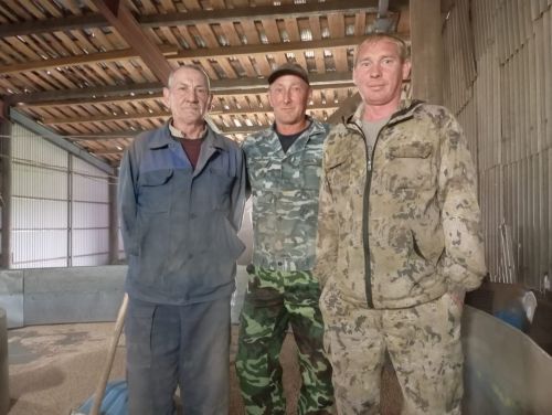 На зернотоке в подсобном хозяйстве «Назяр» складируют привезенное зерно в соответствии со всеми требованиями