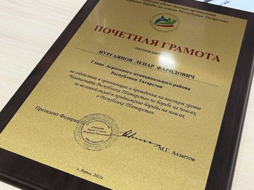Глава Агрызского района награжден Почетной грамотой Президента Федерации по борьбе на поясах
