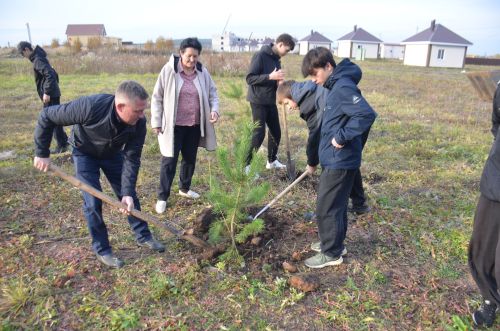 Более 800 саженцев высажено в Агрызском районе в рамках экологической акции «Сохраним лес»