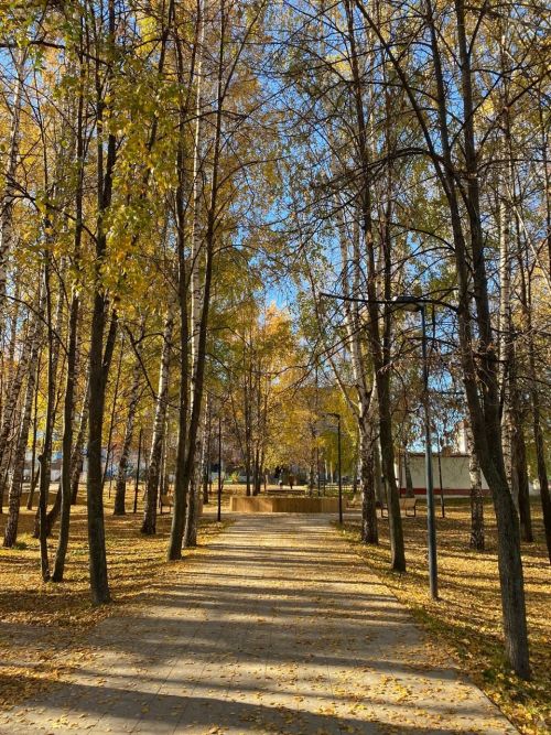 Прогноз погоды в Агрызе на 8 октября