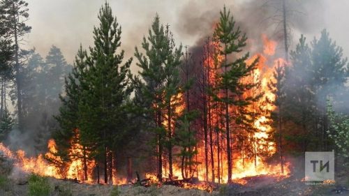 Режим высокой пожарной опасности в Татарстане продлен до 15 октября