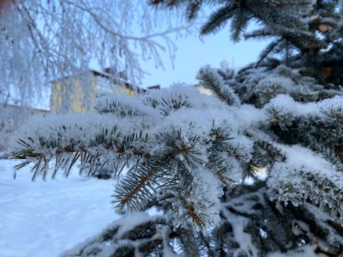 Прогноз погоды в Агрызе на 5 ноября