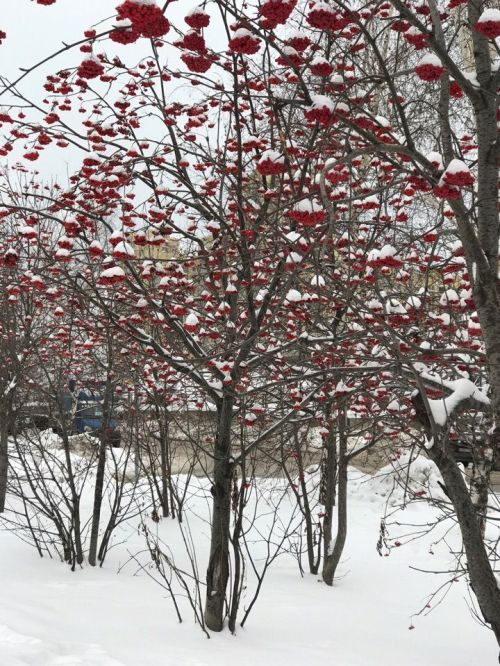 Начало зимы в Татарстане будет аномально теплым и бесснежным